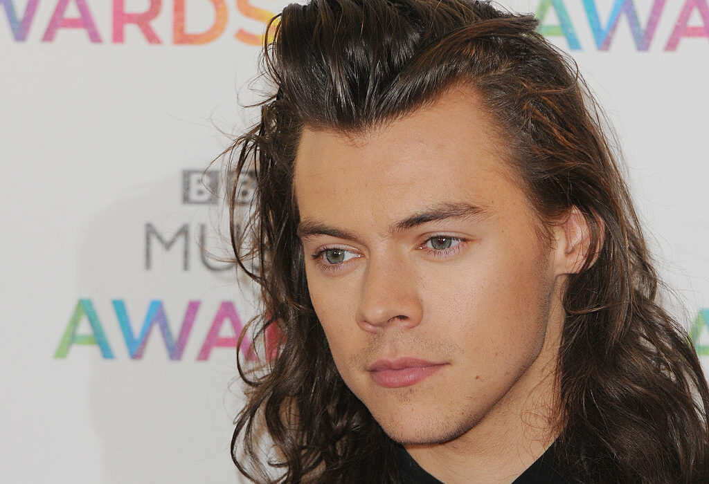 Harry Styles Net Worth 2022